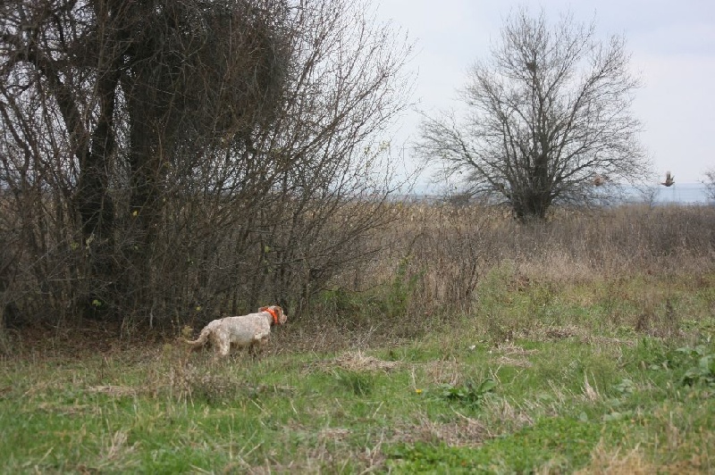 TR. Hanna Les orangés d'Eole